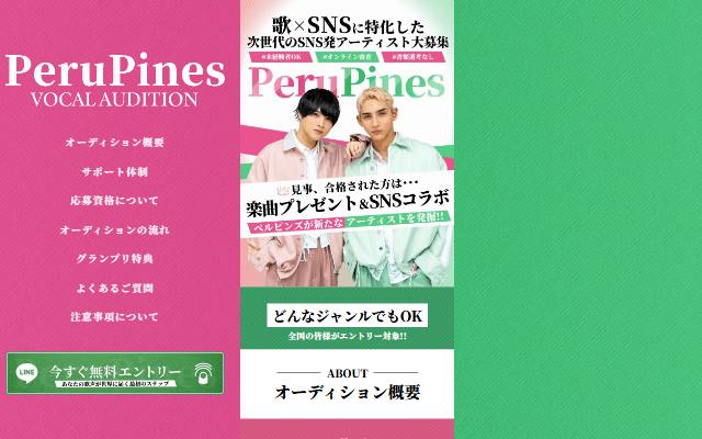 perupines-audition.com のファーストビュー